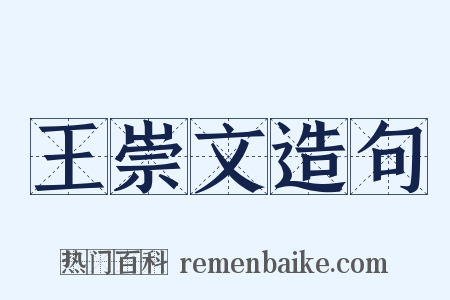 王崇文造句是什么意思的图片